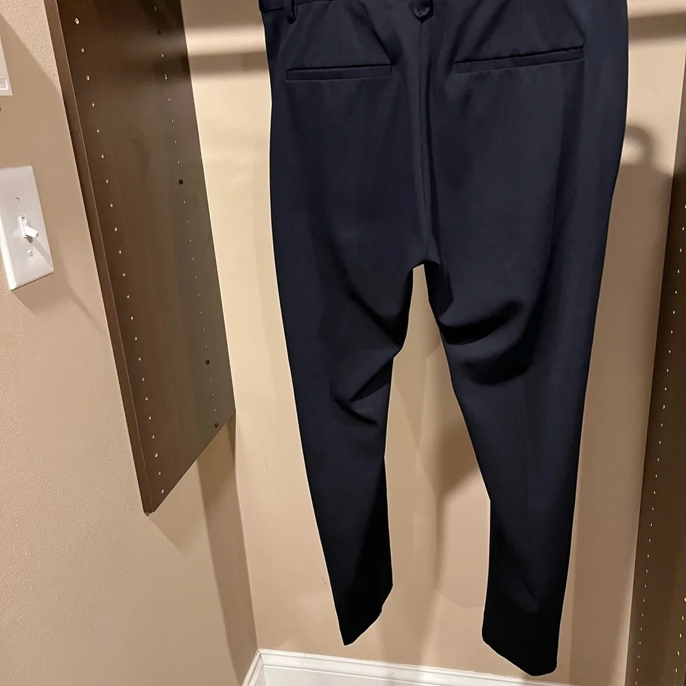 Zara Men's Navy Pants